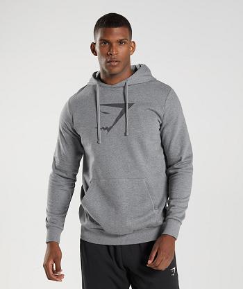 Sudadera Con Capucha Gymshark Sharkhead Infill Hombre Gris | CO 3610PJJ